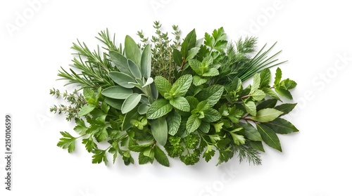 Fresh Green Herbs and Aromatic Plants Isolated on White Background