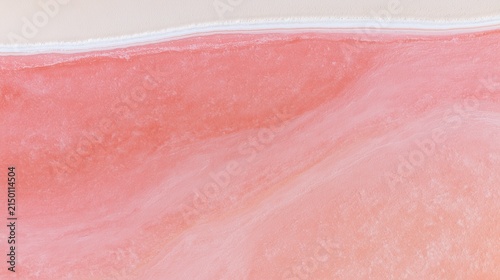 Pink Salt Lake Terraces with White Mineral Ridges