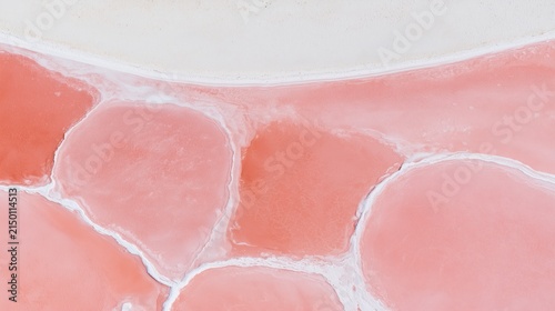 Pastel Pink Lake Terraces with Organic Salt Patterns