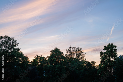 Pastel sunset sky above silhouetted trees