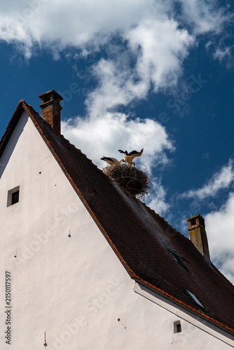 White Storks Nesting on Alsace Rooftop