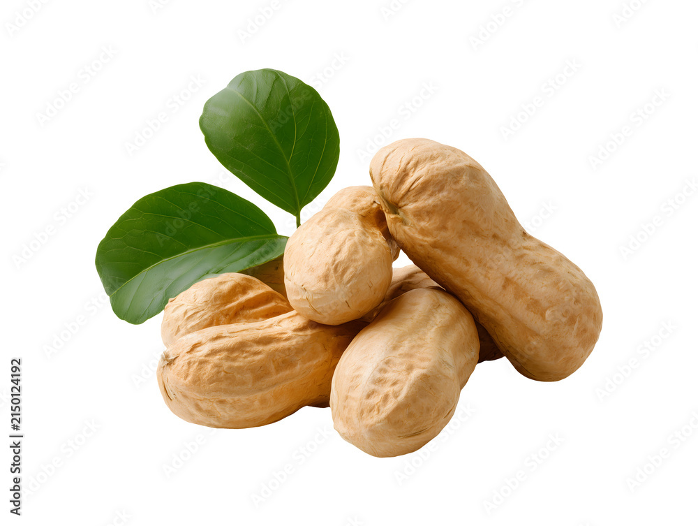Obraz premium Raw peanuts with leaves isolated on transparent or white background, png