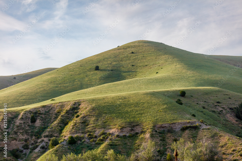 Obraz premium Soft green hills roll under a bright sky