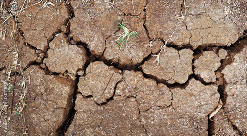 Canvastavla Cracked Dry Soil Texture Close-Up for Drought and Climate Change Themes