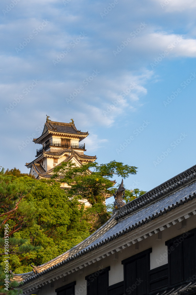 Naklejka premium Original castle tower of Kochi Castle illuminated by morning light in Kochi Prefecture, Japan.