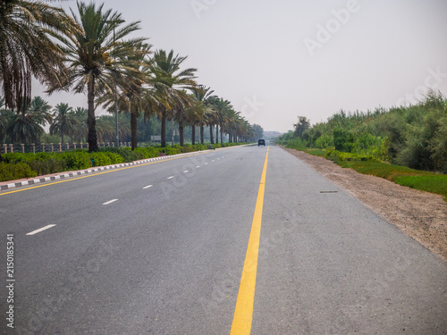 Dubai, UAE – July 2, 2016: Heat Haze (Mirage) on a Desert Road Lined with Palm Trees