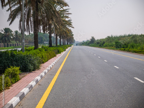 Dubai, UAE – July 2, 2016: Heat Haze (Mirage) on a Desert Road Lined with Palm Trees