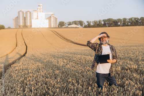 Obraz na plátně Agronomist inspecting wheat field, shielding eyes from sun, grain elevators in b