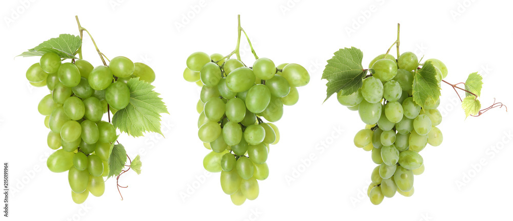 Obraz premium Fresh grapes. Three clusters isolated on white, set