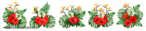 Foto Hibiscus, strelitzia and plumeria flowers with green tropical leaves in floral c