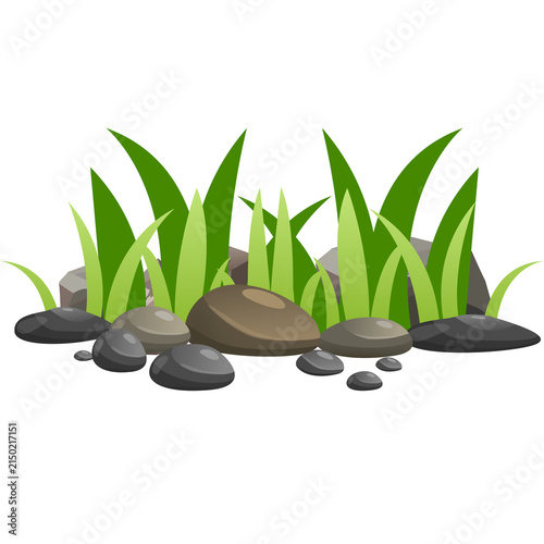 Photography zen stones and bamboo