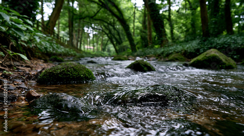 Low angle view of flowing mountain river through lush green forest with woodland, landscape