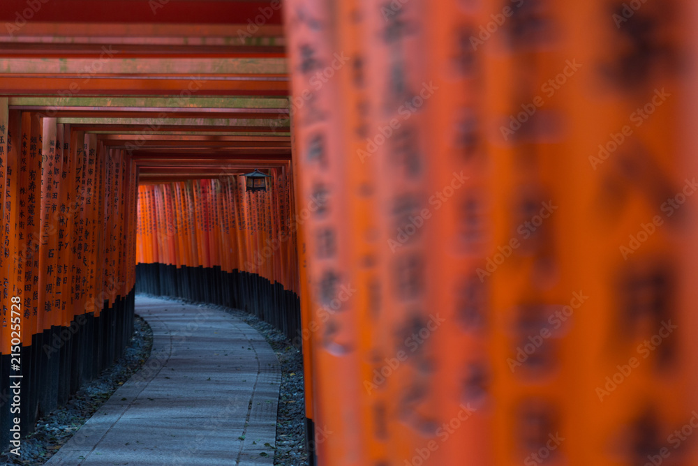 Fototapeta premium Red Torii of Fushimi Inari Shrine, Kyoto, Japan