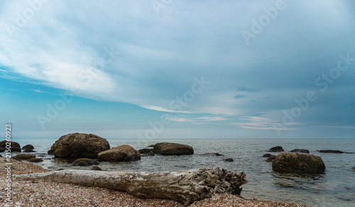 Driftwood resting on the rocky shoreline at Hammonasset Beach State Park in Madison, Connecticut