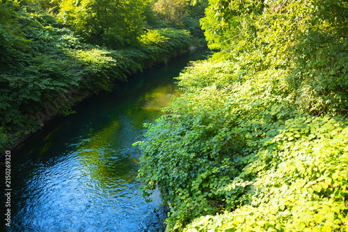 Foto A serene river winds through dense green vegetation