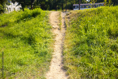 Obraz na plátne A narrow dirt path cuts through a grassy slope under bright sunlight