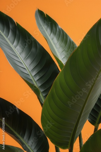 Vibrant Green Tropical Leaves on Bright Orange Background