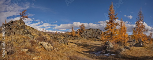 Canvastavla Russia