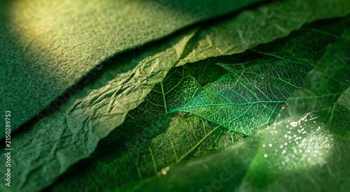 Macro green felt fabric with botanical leaf veins, mesh and sparkling beads