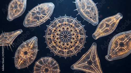 microscopic diatom structures glowing underwater scientific illustration