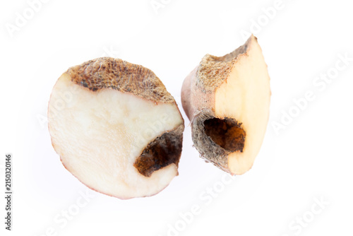 Olericulture, vegetable farming. Irish potato eaten by mole crickets and wireworms, crop pests.
