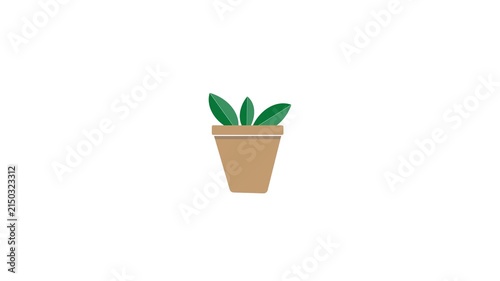 potted plants