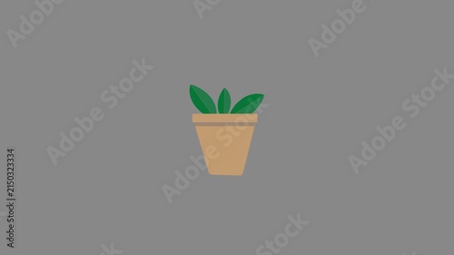 potted plants, early morning in cozy interior, slow motion