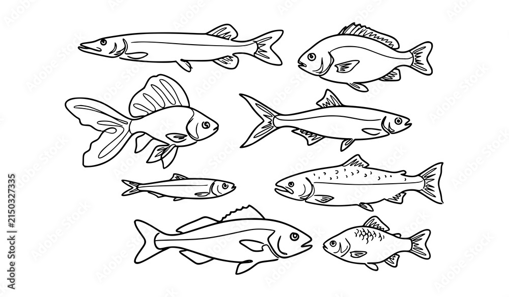 Obraz premium Minimal Freehand Fish Doodle Set Continuous Line Vector Illustration