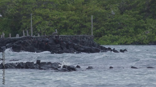 Telephoto shot of Slow motion waves hitting rocks in tortuga bay beach Galapagos
