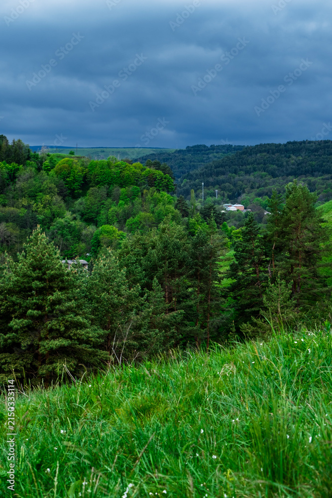 Obraz premium Forest meadow landscape cloudy sky, dramatic weather scenery. Dark storm clouds pine woodland green hilly terrain.