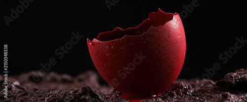 A cracked red eggshell rests on dark soil, symbolizing new beginnings and fragility.