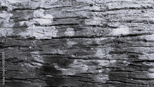 Black and white weathered wood texture with peeling surface, horizontal grain, cracks, and natural erosion patterns, ideal for rustic backgrounds and material design.
