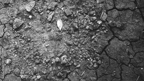 фотографія A cracked, black-and-white ground surface strewn with gravel, rocks, and scattered leaves, featuring a rough, weathered texture suitable for environmental or ecological concepts