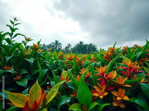 Lush greenery glistens with raindrops, vibrant colors popping against gray sky, grey, precipitation