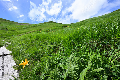 Climbing Mt. Gassan, Yamagata, Japan