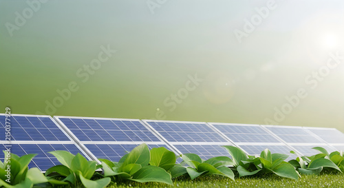 Solar panels array on green hillside landscape
