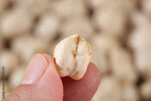 Crispy Fried Chickpea Xinjiang Style Healthy Snack Held in Hand Close-up Food Photography