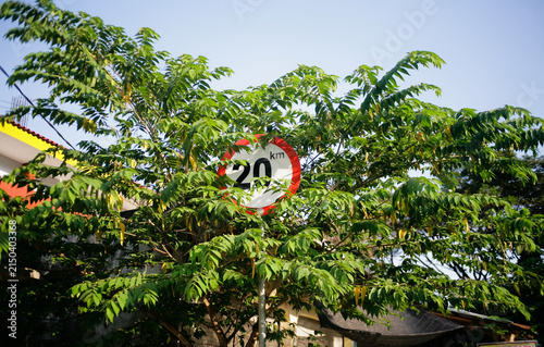 road sign speed limit 20km covered by lush green trees on rural countryside road