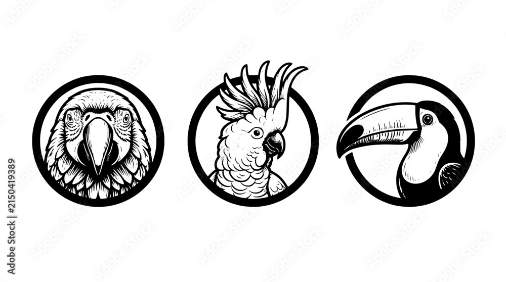 Naklejka premium Engraved illustration showing three birds in black and white design with transparent background