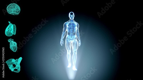Human body hologram displays anatomical structures alongside a digital figure walking in a dark space.