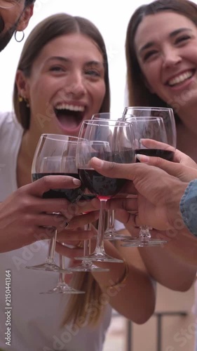 Close up video of a group of friends having fun together, toasting with red wine outdoors. Vertical video with copy space.