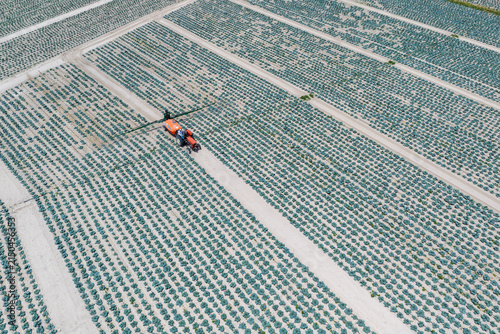 Watering of crops with a tractor.