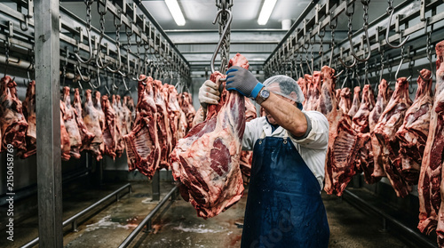 A worker in an apron and gloves handles large cuts of hanging beef carcasses in a cold storage or slaughterhouse facility.