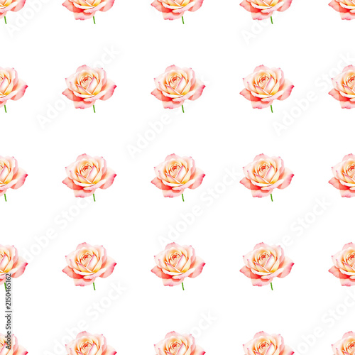 Watercolor pink rose flowers seamless pattern. Elegant floral background.