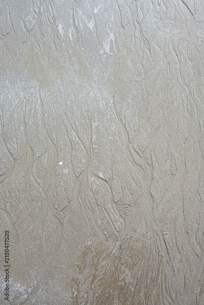 Fototapeta premium Rivulets in the wet sand left from the tide flowing out, Seal Rocks state park, patterns and texture in nature background 