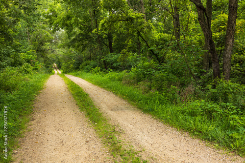 An Old Narrow Gravel Road In The Woods In Summer