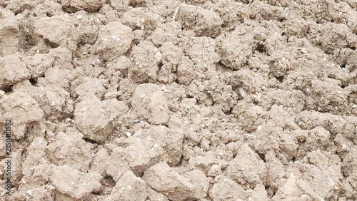 Canvastavla The dried and crumbling soil surface, freshly plowed fallow land.