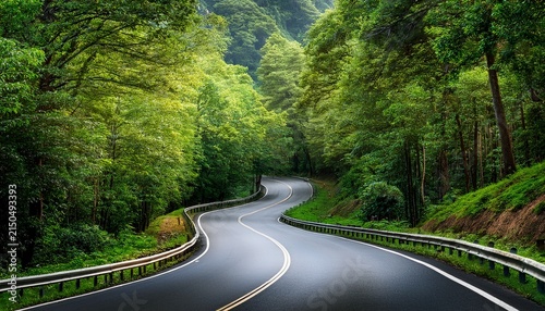 winding road through green forest