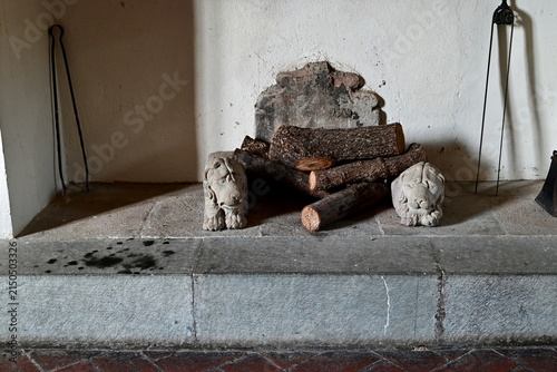 Quadro su tela Front View of Ancient Stone Fireplace with Carved Lion Dogirons and Firewood in