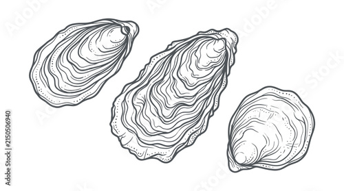 Detailed black and white ink line drawings of three oysters captured in a minimalist artistic style